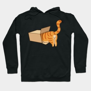 Cat in the box Hoodie